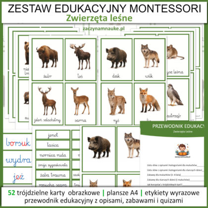zwierzeta w lesie karty obrazkowe obrazki do druku dla dzieci pdf nauka nazw zwierzat lasu las montessori a1