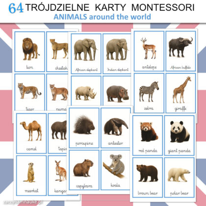 animals cards montessori nauka angielskiego nazwy zwierzat karty obrazkowe flashcards 10