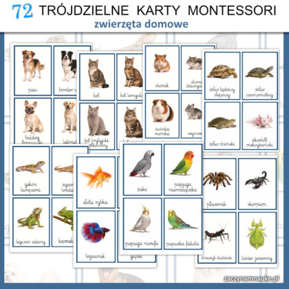 karty obrazkowe trojdzielne zwierzeta domowe montessori do druku psy koty obrazki 8