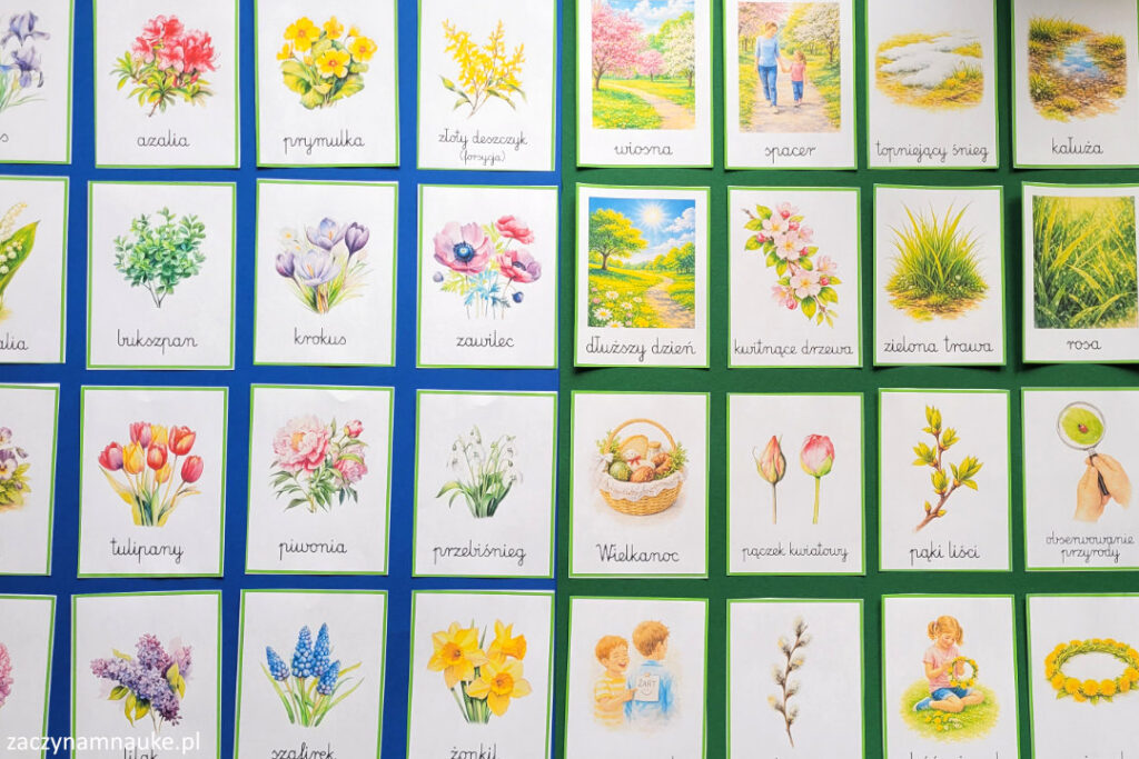 karty obrazkowe wiosna montessori wiosenne symbole do druku obrazki dla dzieci 5