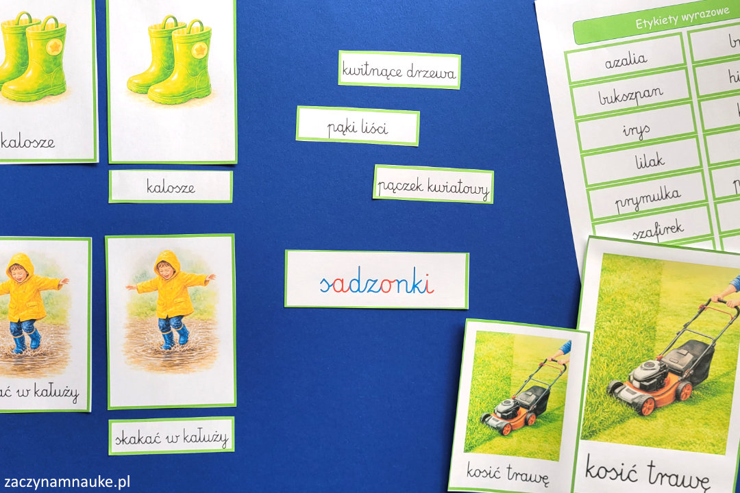 Jakie są zwiastuny wiosny? Kompleksowy przewodnik edukacyjny z kartami obrazkowymi Montessori do druku.