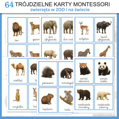 trojdzielne karty montessori zwierzeta swiata do druku zoo obrazki karty obrazkowe z zwierzetami 10