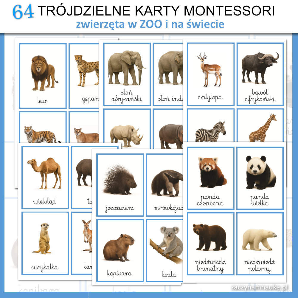 trojdzielne karty montessori zwierzeta swiata do druku zoo obrazki karty obrazkowe z zwierzetami 10