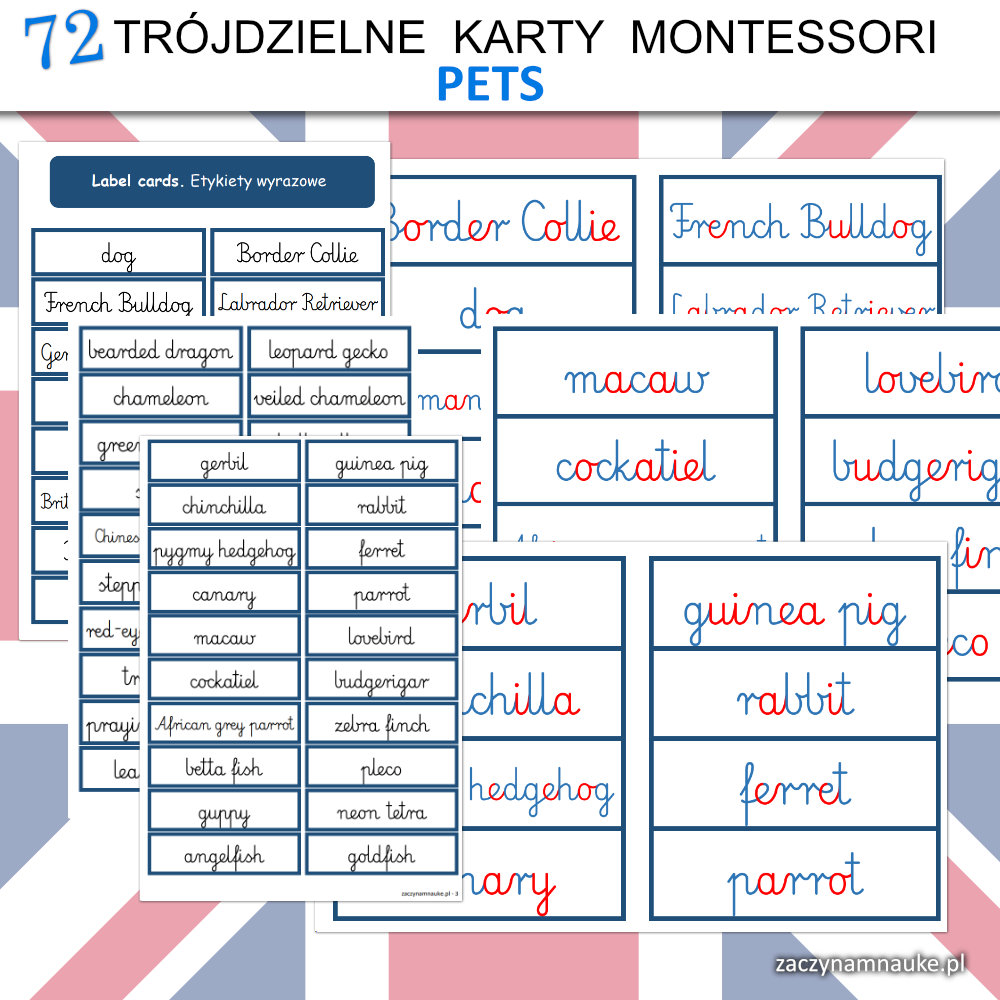 zwierzeta domowe po angielsku do druku pets karty obrazkowe dla dzieci nauka czytania montessori 10