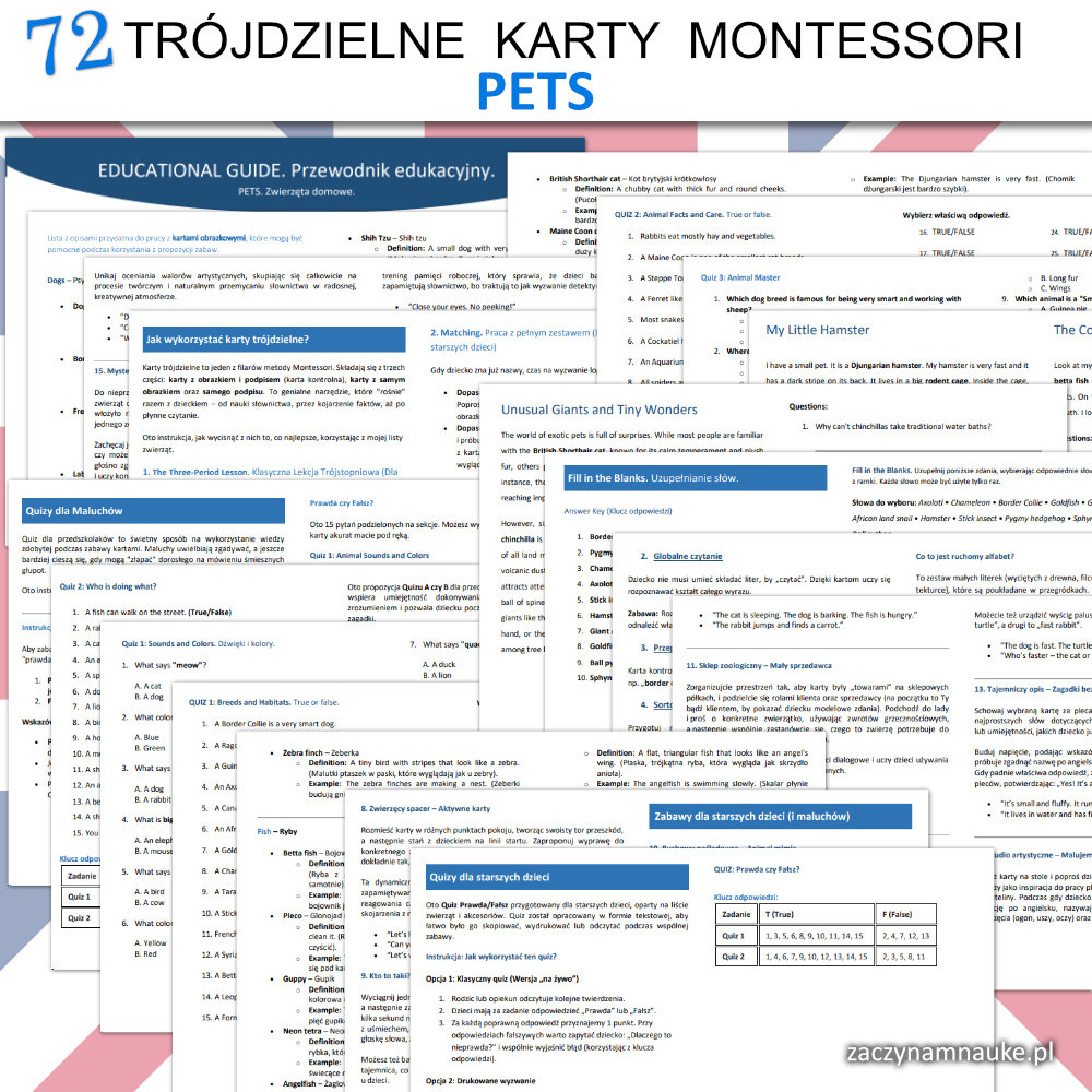 zwierzeta domowe po angielsku do druku pets karty obrazkowe dla dzieci nauka czytania montessori 11