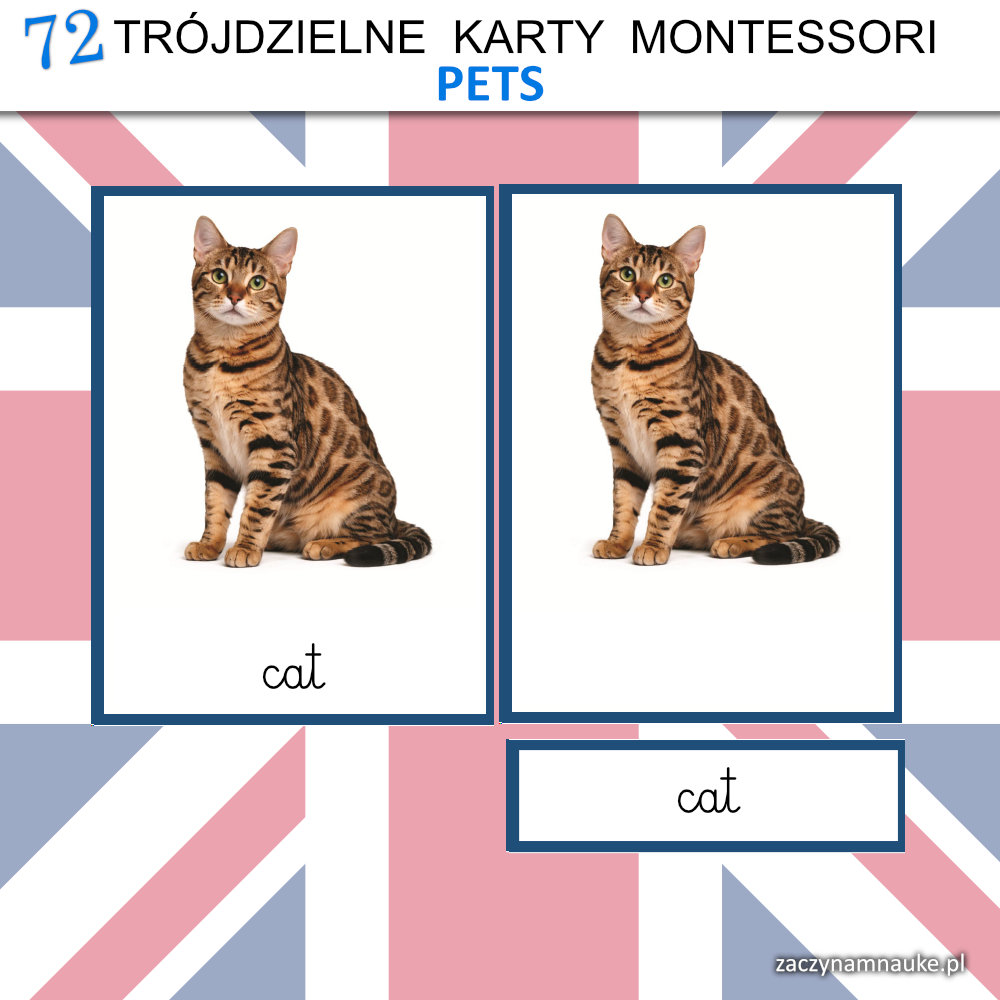 zwierzeta domowe po angielsku do druku pets karty obrazkowe dla dzieci nauka czytania montessori 4