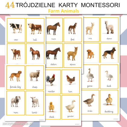 zwierzeta na farmie po angielsku karty obrazkowe do druku montessori nauka angielskiego 12