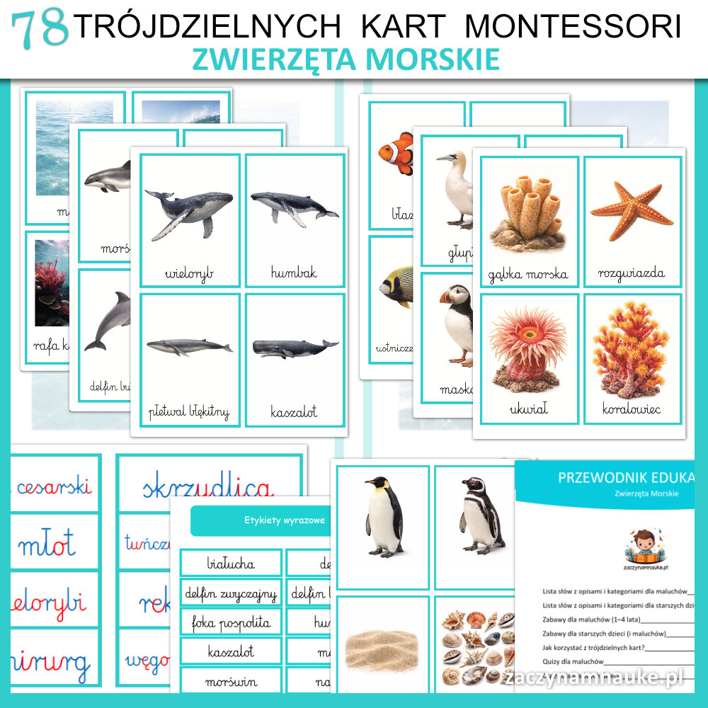 karty obrazkowe zwierzeta morskie do druku zestaw montessori karty trojdzielne ryby ptaki ssaki w morzu i oceanie 5