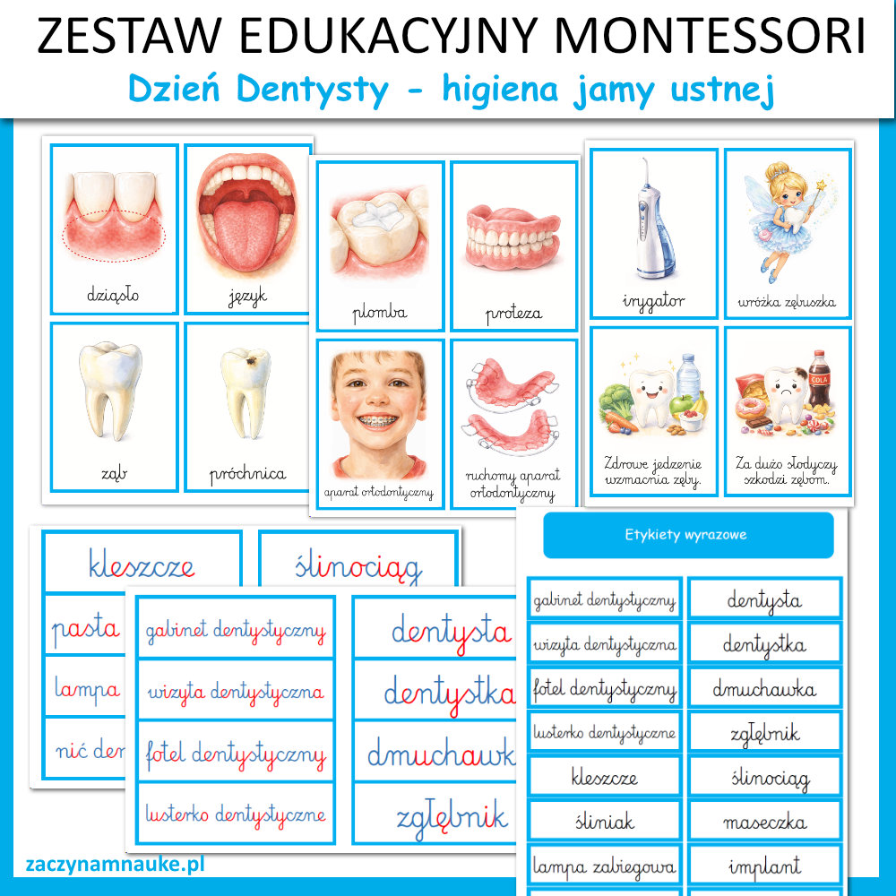 karty pracy dzien dentysty przedszkole do druku zajecia montessori karty obrazkowe trojdzielne 2