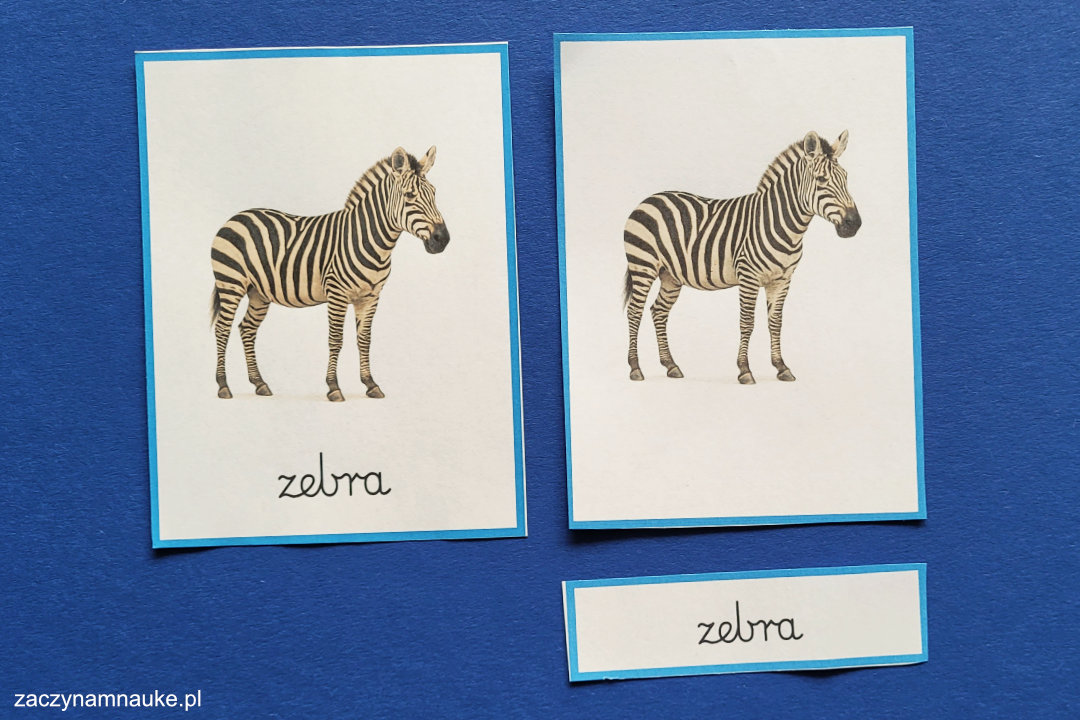 Karty trójdzielne Montessori – klucz do nauki czytania i poznawania świata. Kompletny przewodnik