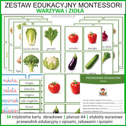 warzywa do druku karty edukacyjne przedszkole obrazki pdf dla dzieci z warzywami montessori trojdzielne