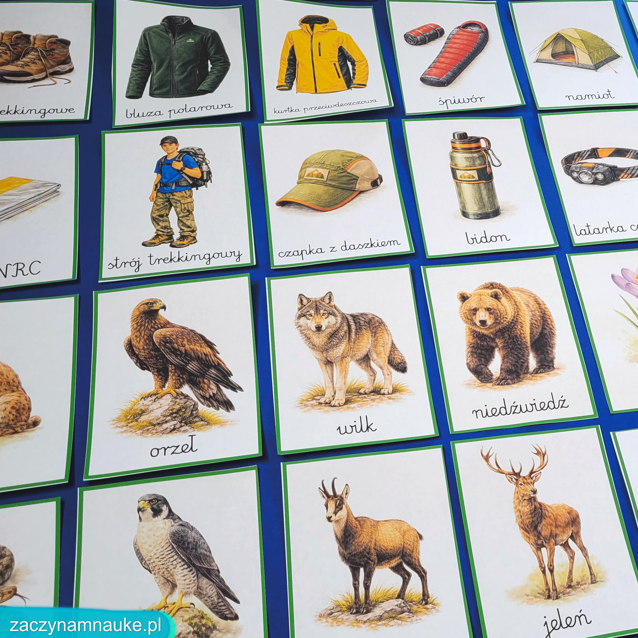 wakacje w gorach lato przedszkole karty pracy edukayjne montessori gorska wycieczka obrazki do druku pdf przyroda wczesnoszkolne zajecia 45
