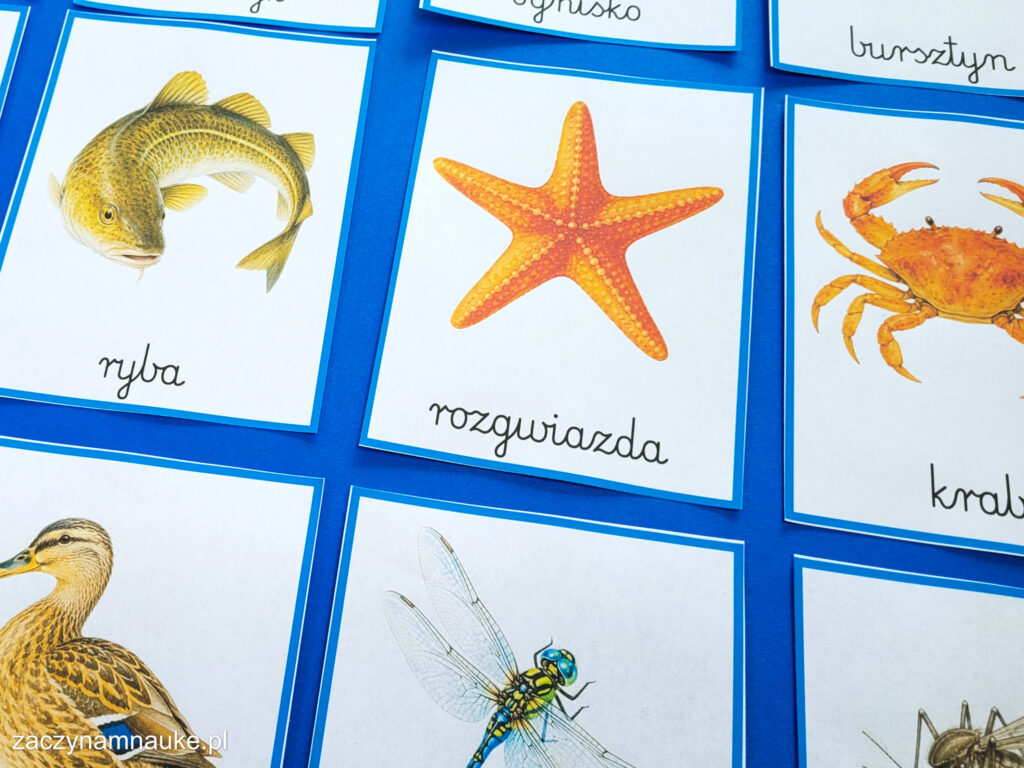 wakacje nad morzem lato nad woda szkola w przedszkolu zajecia gazetka do druku pdf zestaw edukacyjny montessori obrazki na plazy 1