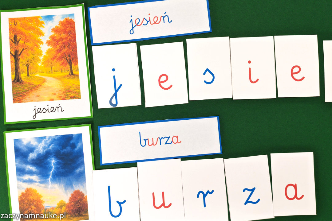 zestaw jesien do druku PDF przedszkole szkola podstawowa gazetka karty obrazkowe pogoda jesienne obrazki plakaty montessori 3 nauka czytania ruchomy alfabet 7